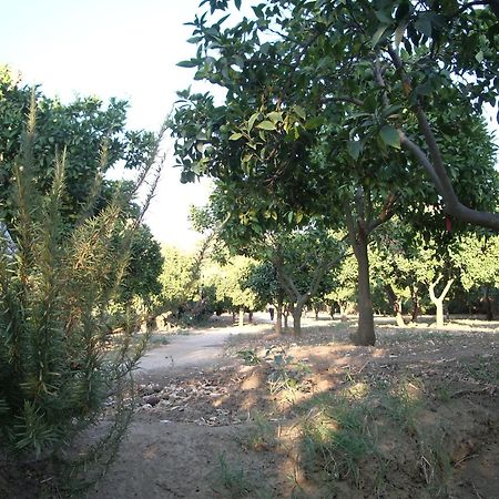 Villa Dei Giardini San Leone Dış mekan fotoğraf