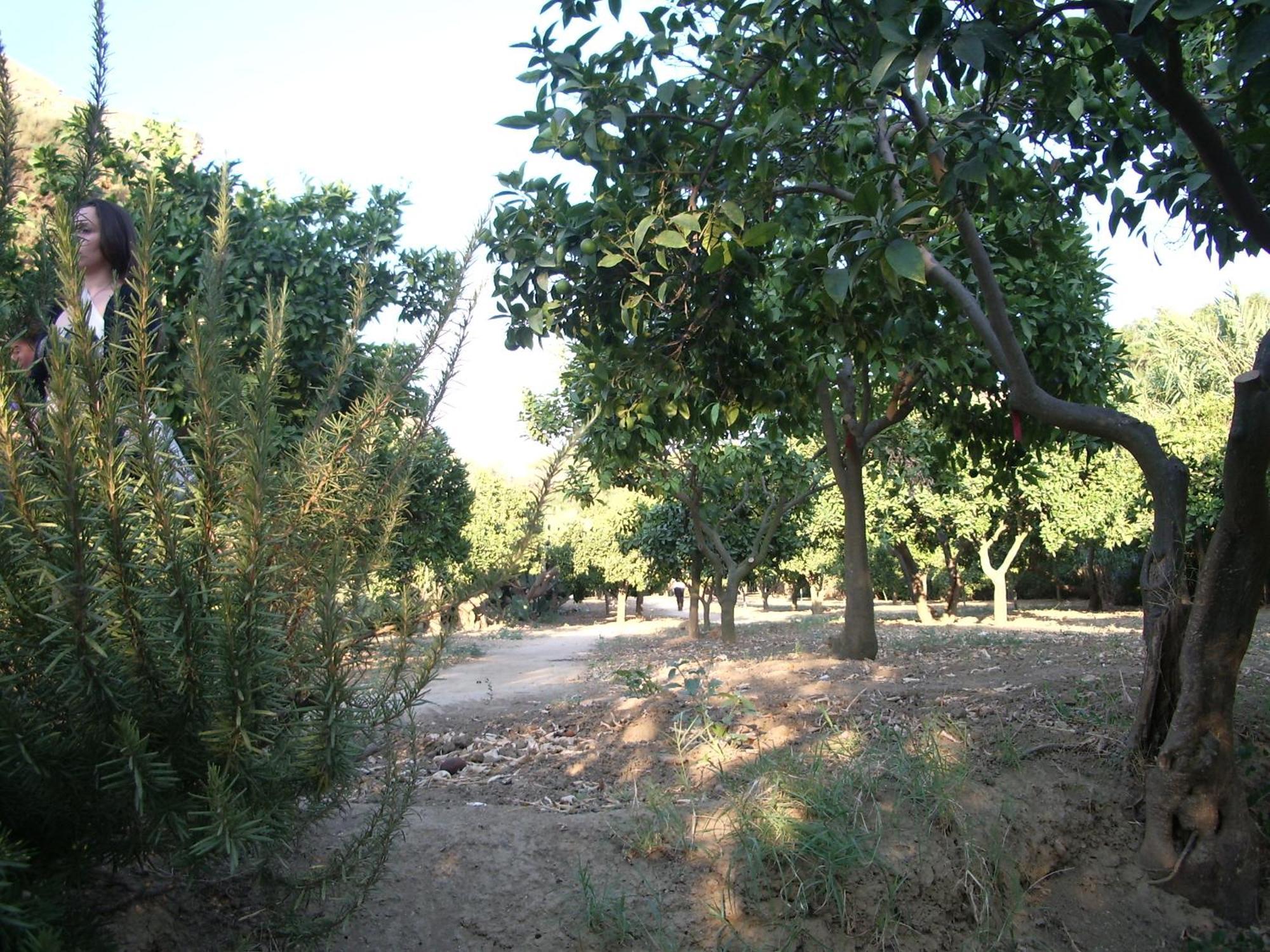 Villa Dei Giardini San Leone Dış mekan fotoğraf